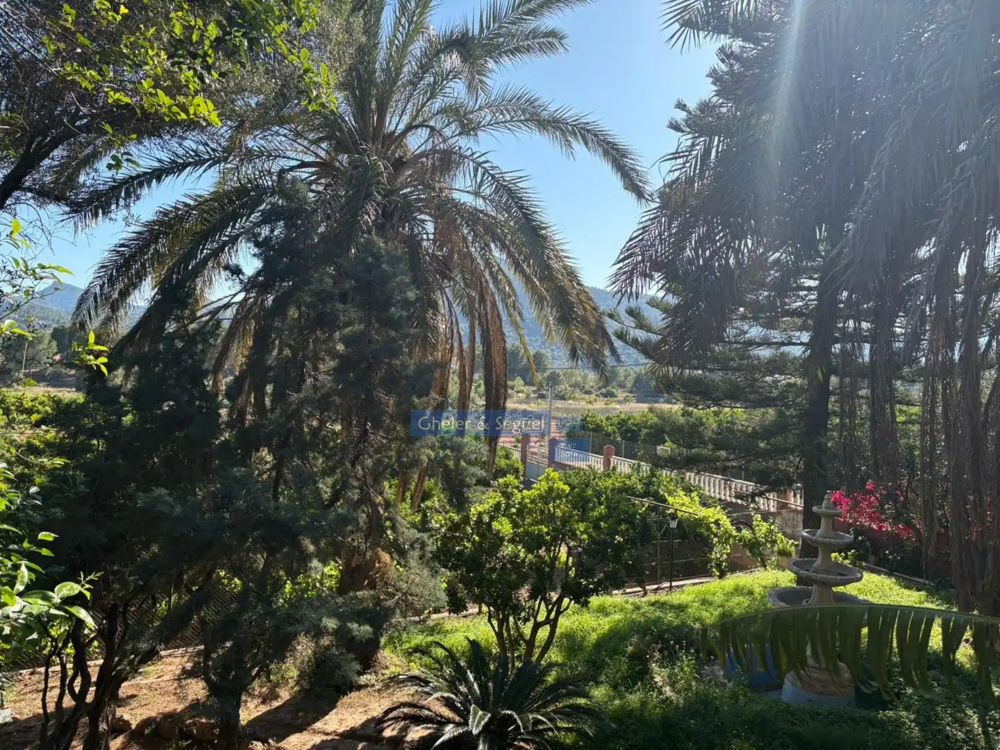 Jardín de Casa o chalet en venta en Albalat dels Tarongers con Terraza