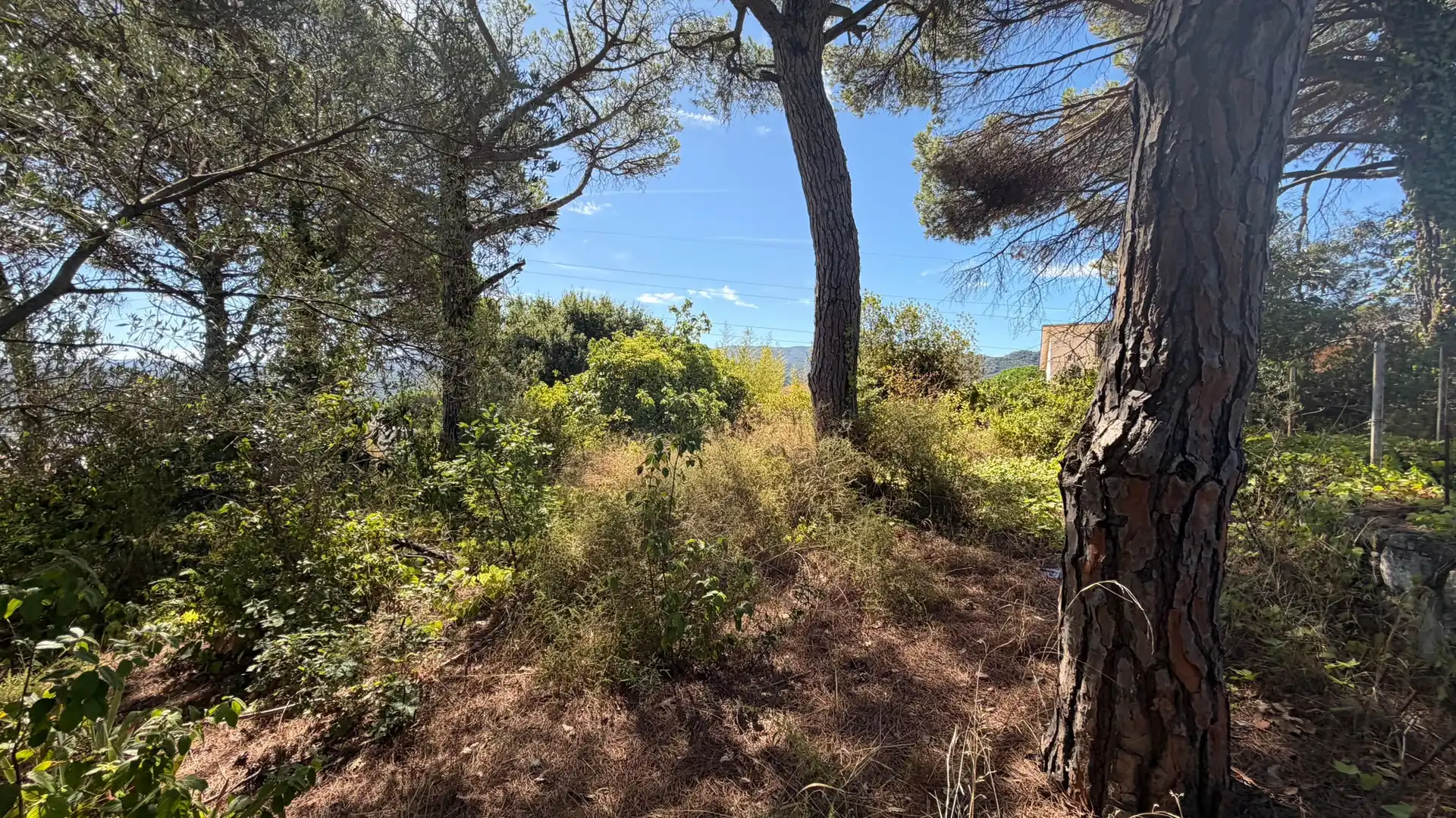 Residential for sale in Riells i Viabrea