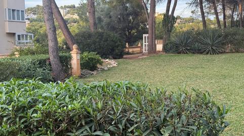 Photo 4 of Flat for sale in Costa de la Calma, Illes Balears