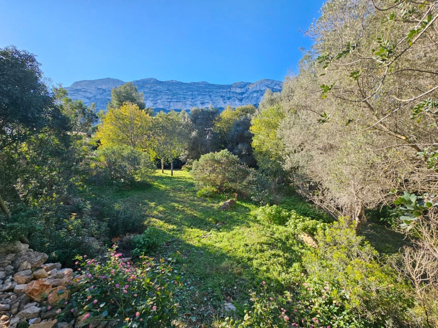 Jardí de Residencial en venda en Dénia