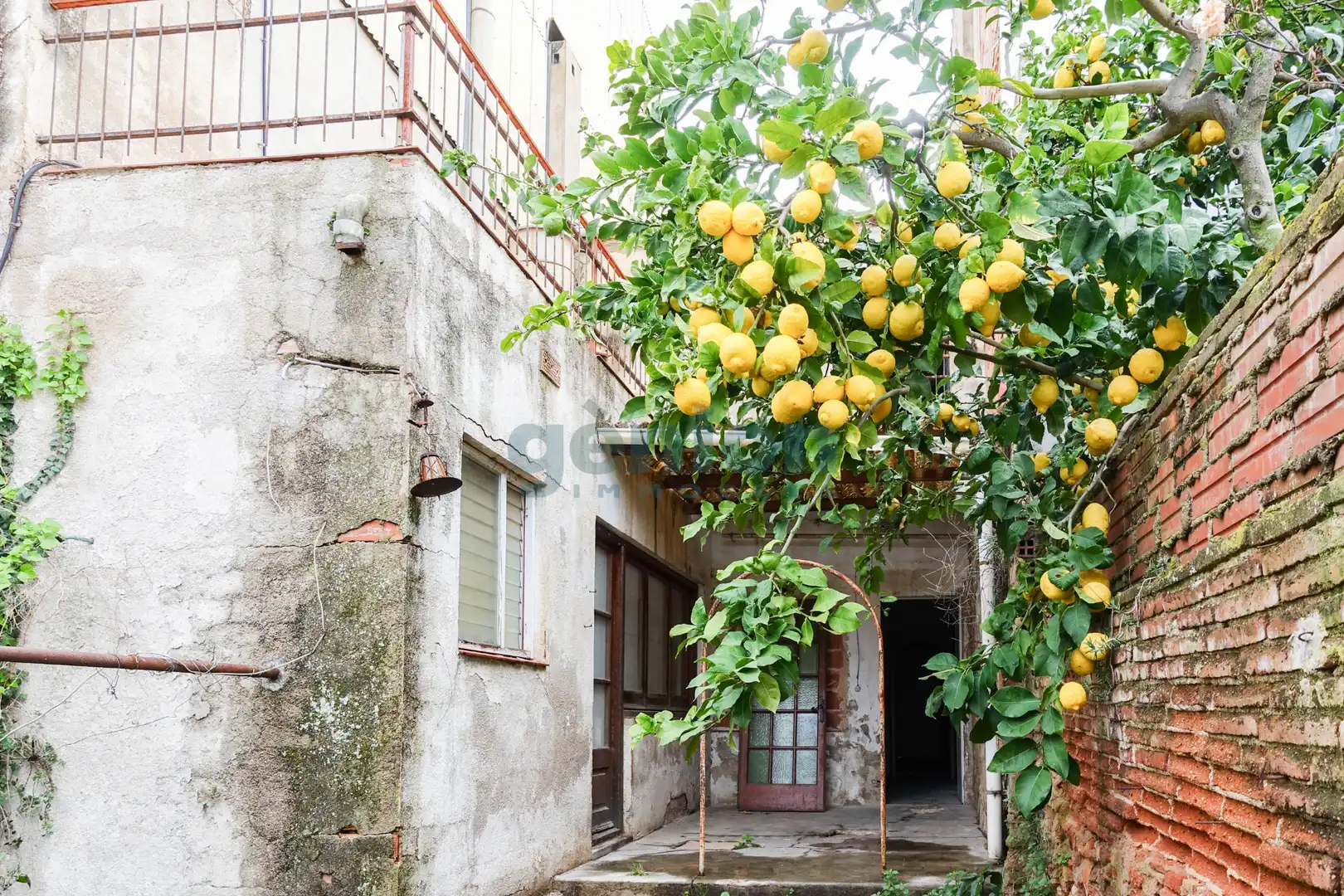 Maison avec jardin à vendre à Eixample, imagen 5