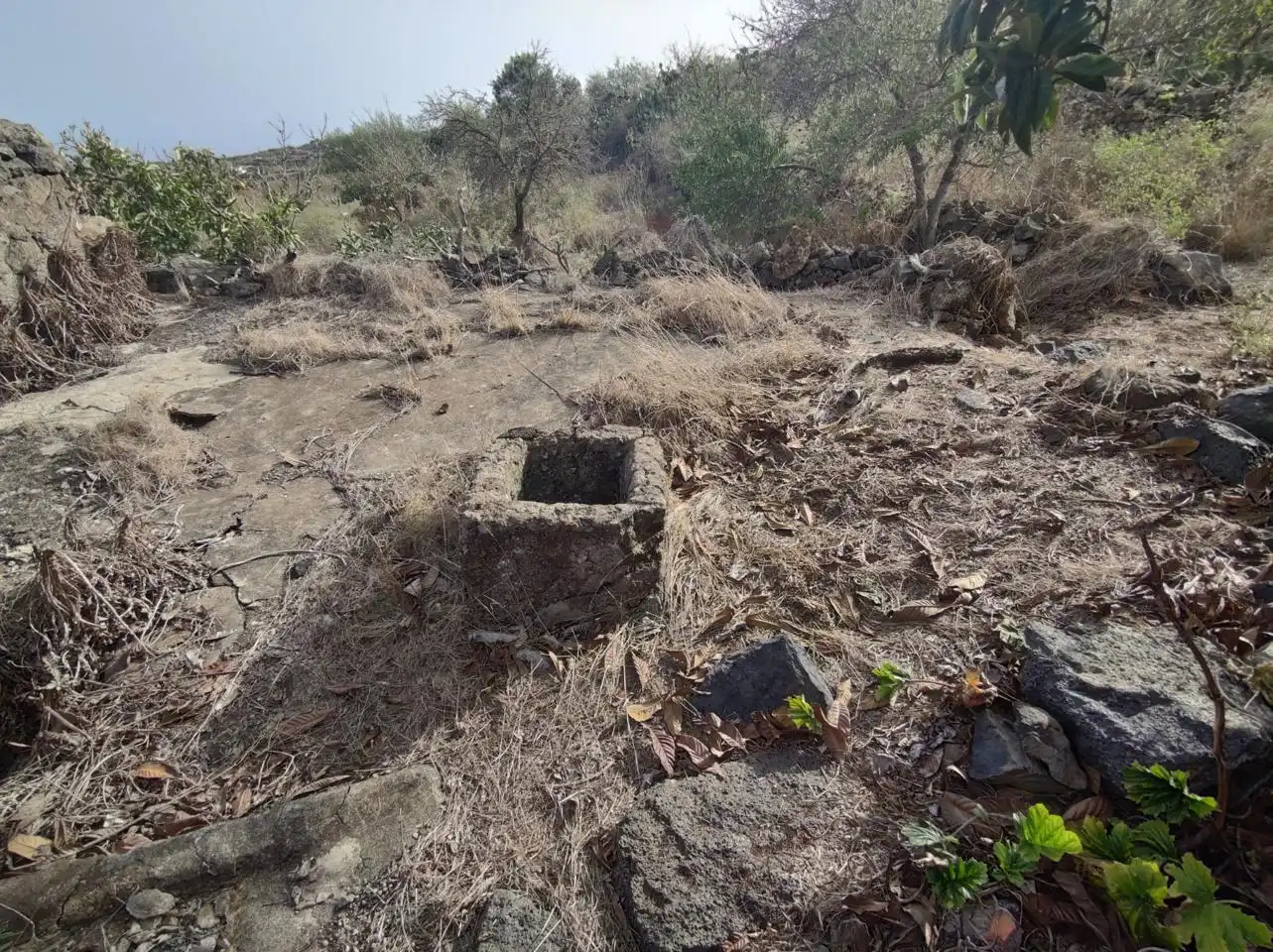 Casa rústica en venda a Los Castaños, imagen 10