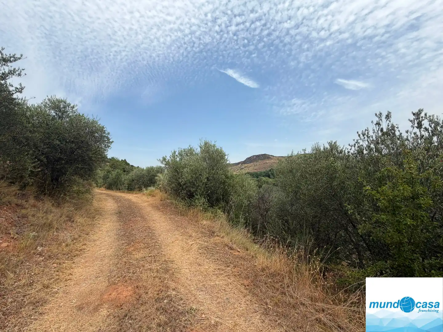 Finca rústica en venda en Morata de Jalón amb Piscina comunitària