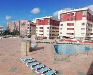 Swimming pool of Flat to rent in Las Palmas de Gran Canaria  with Community pool