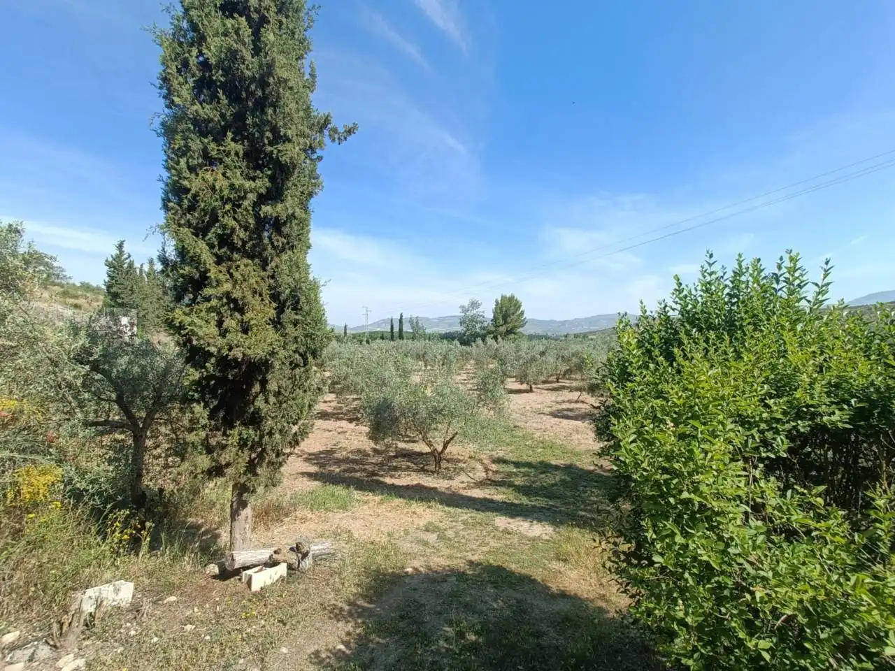Terreni e lotti in vendita a CASERIA EL POZO LAS CARAS DE CACIN, imagen 63
