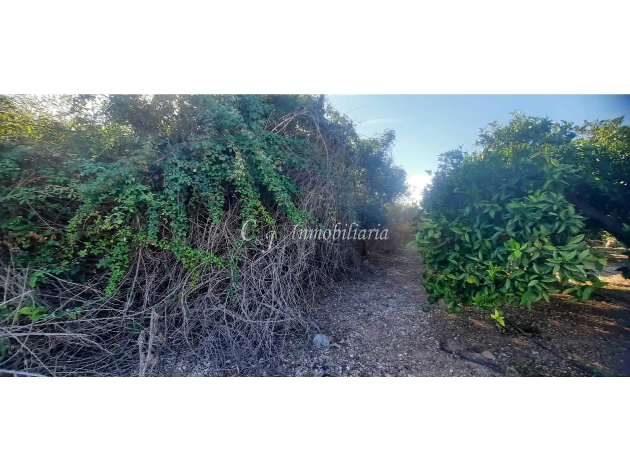 Terrain rustique à vendre à Puerto de Sagunto, imagen 2