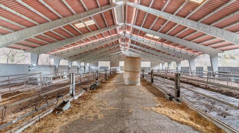 Photo 4 of Premises for sale in Camino Campo de Caso, 24, Caso, Asturias