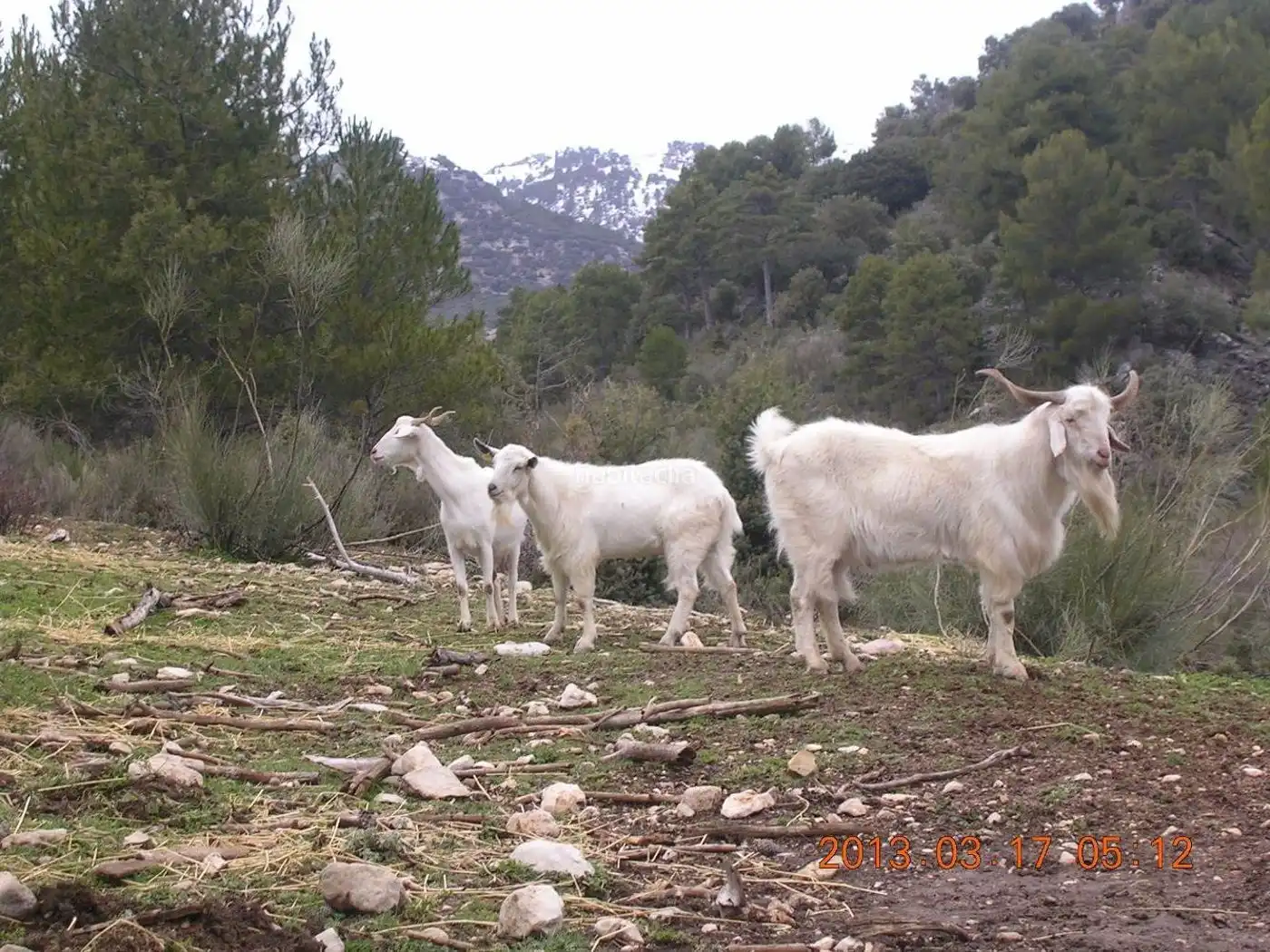 Terreni e lotti in vendita a Huéscar, imagen 5