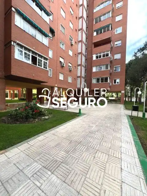 Exterior view of Flat for rent in Madrid  with Heating, Terrace and Furnished