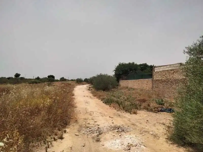 Terreni e lotti in vendita a Carretera de Palomares, imagen 29