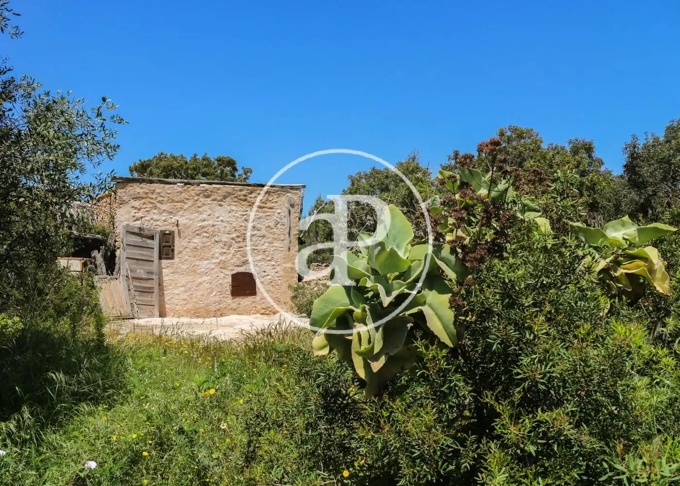 Casa o chalet en venta en Formentera con Aire acondicionado, Calefacción y Jardín privado