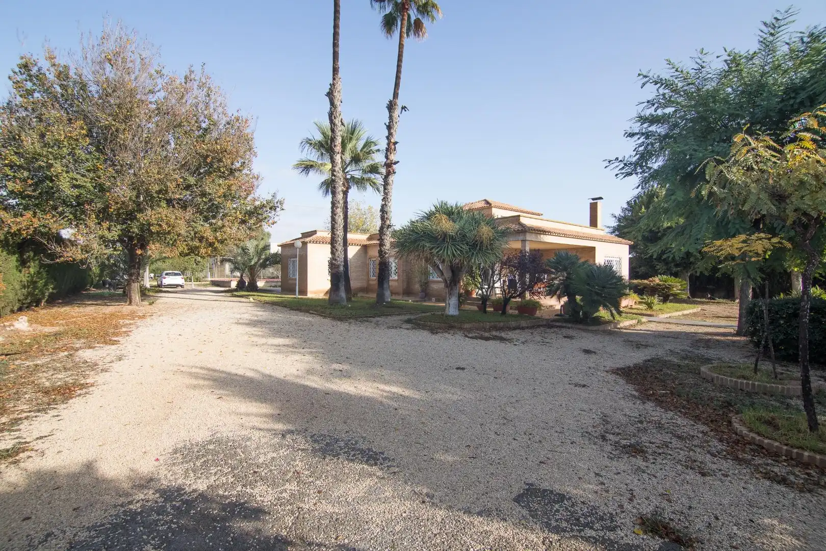 Vista exterior de Casa o xalet en venda en Elche / Elx amb Aire condicionat, Calefacció i Jardí privat