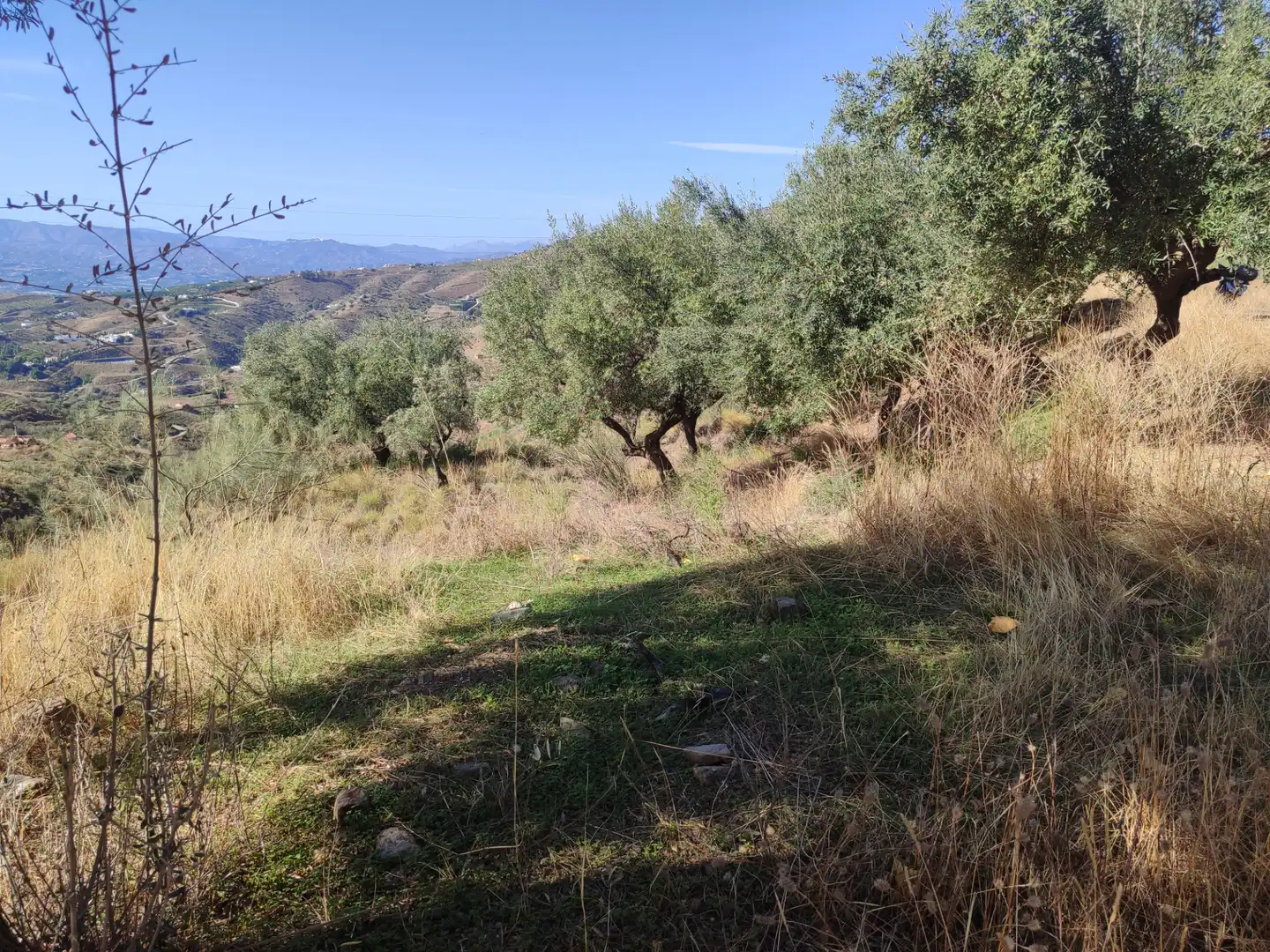 Terreny en venda en Algarrobo