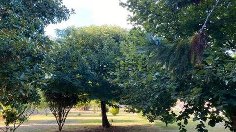 Photo 5 of House or chalet for sale in O Carril, Pontevedra