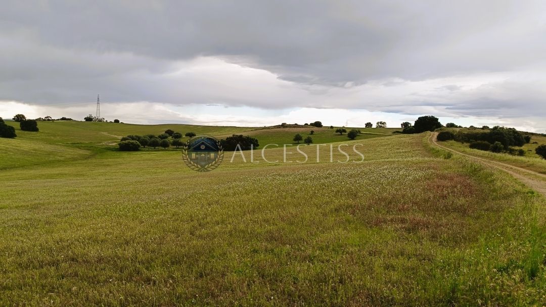 Land for sale in La Torre de Esteban Hambrán