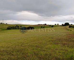 Land for sale in La Torre de Esteban Hambrán
