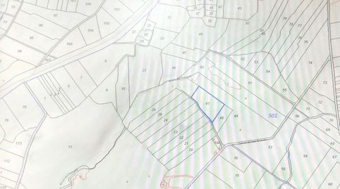 PARCELA RÚSTICA EN VENTA EN EL ENTORNO DE MIRANDILLA, immagine 3