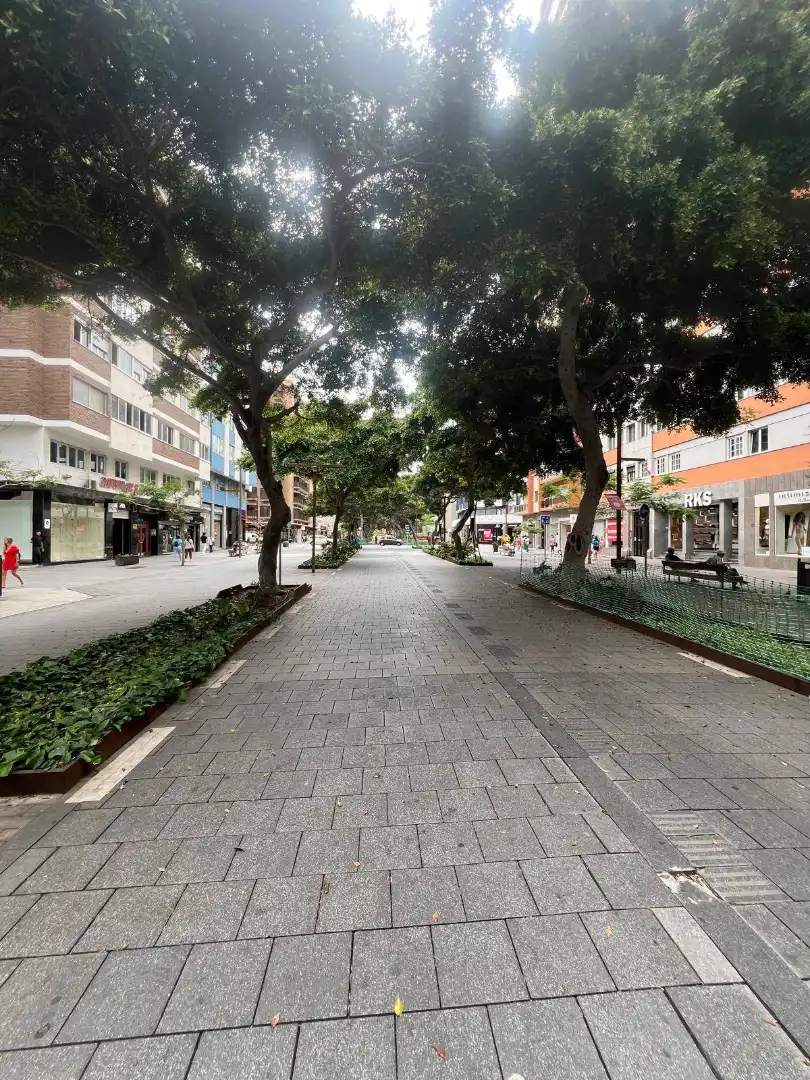Flat with terrace for sale in Isleta - Puerto - Guanarteme, imagen 2