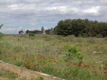 Lands and plots for sale in Partida Cerdera Baixa