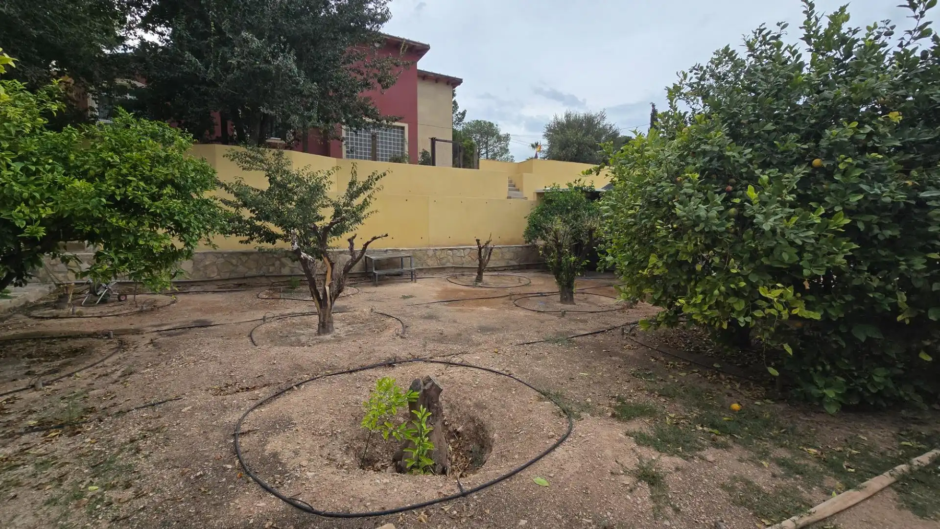 Jardín de Casa o chalet en venta en Partidas de Alicante