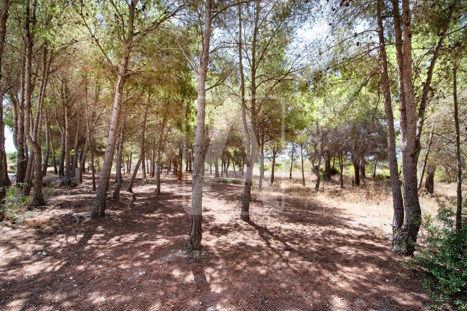 Terreny residencial en venda a La Empedrola, imagen 7