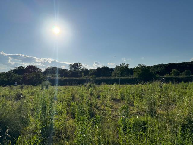 Terreno residencial en Venta en Fornells de la Selva