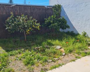 Jardí de Casa adosada de lloguer en Chiclana de la Frontera amb Jardí privat, Terrassa i Moblat