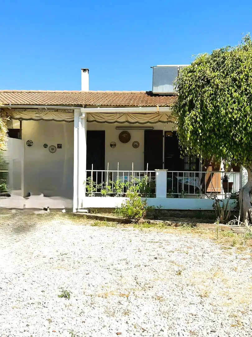 Jardí de Finca rústica en venda en Estepona amb Jardí privat, Terrassa i Piscina