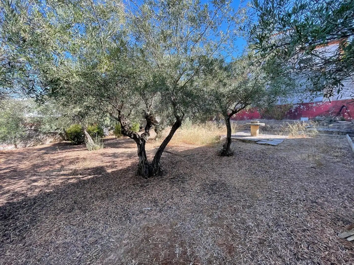 Jardín de Casa o chalet en venta en Cáceres con Terraza, Trastero y Piscina