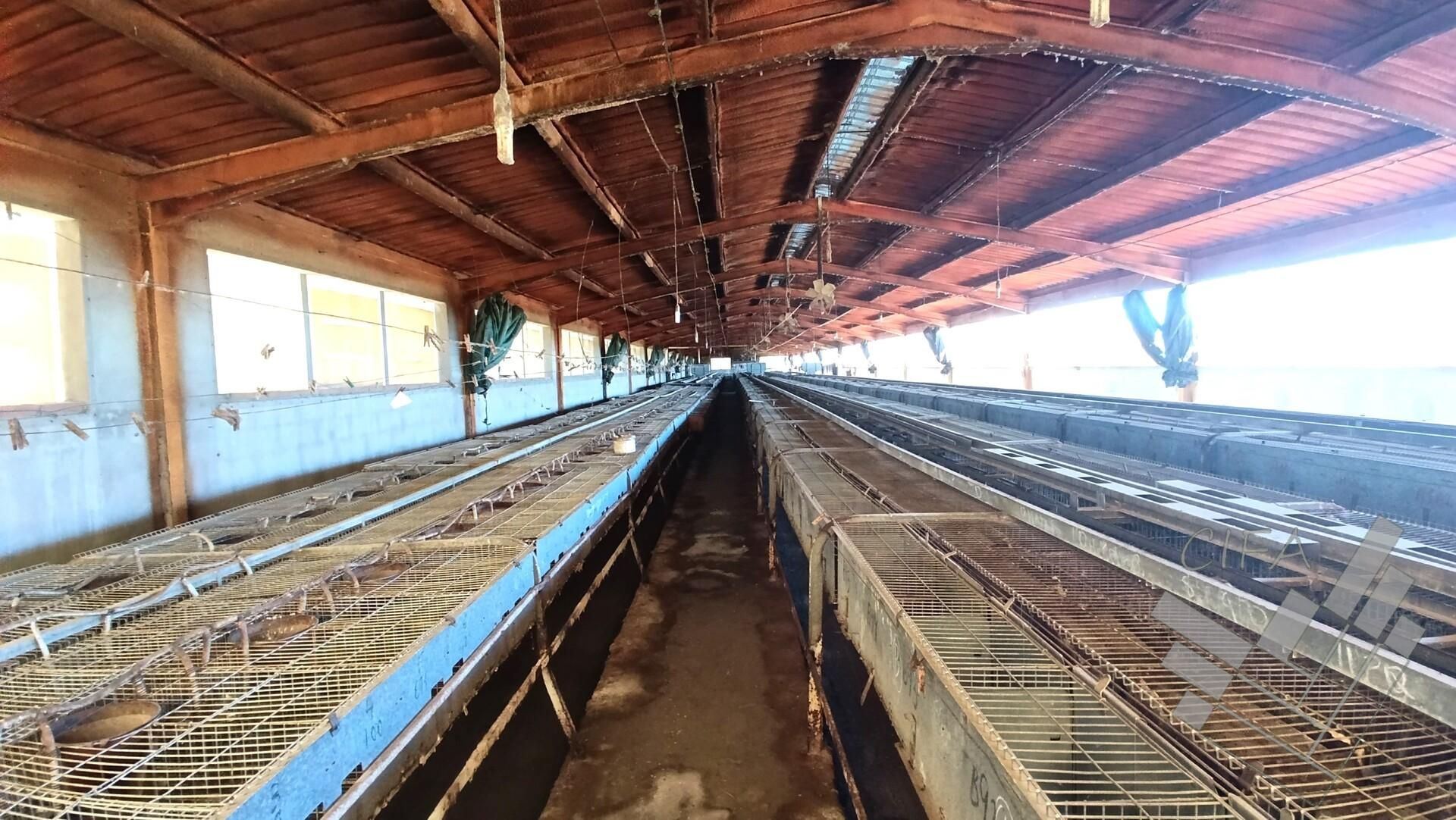 Nau industrial en venda en Rossell