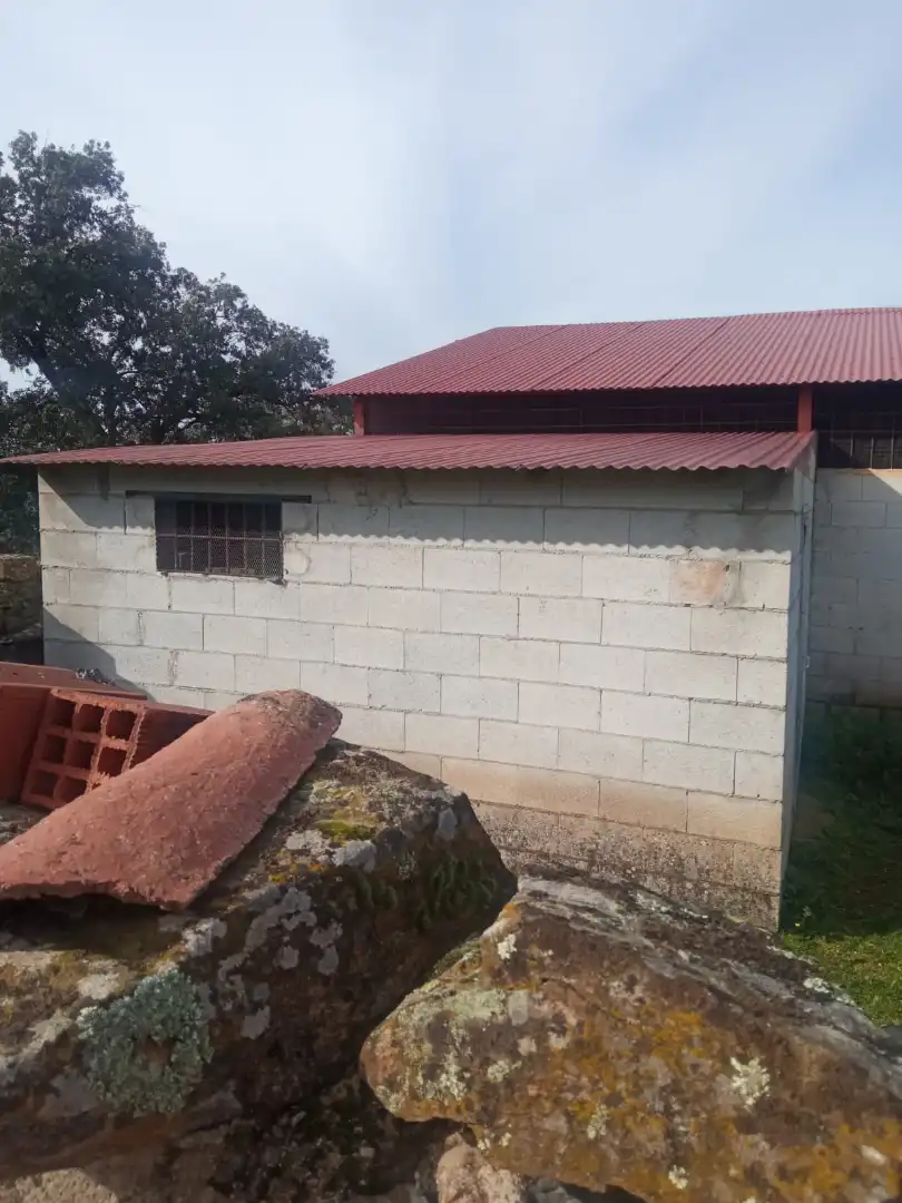 Exterior view of Land for sale in Cardeña