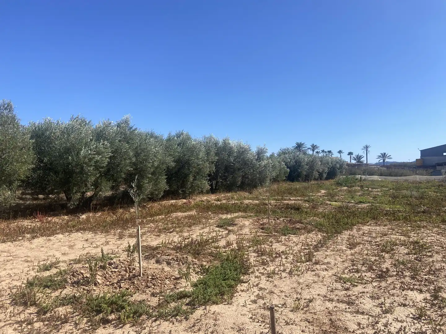 Land for sale in Cartagena