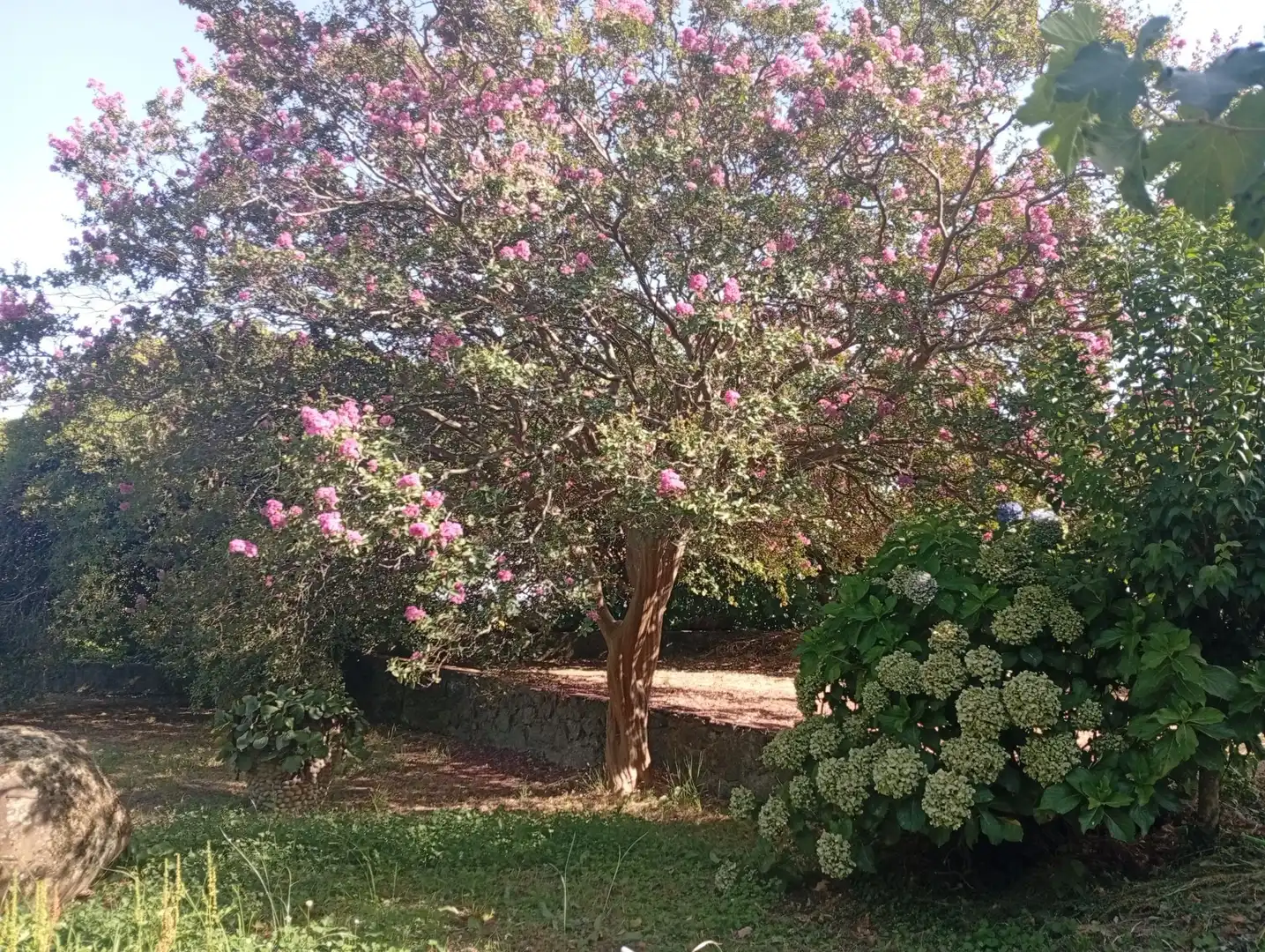 Jardín de Casa o chalet en venta en Villanueva de la Vera con Jardín privado y Trastero