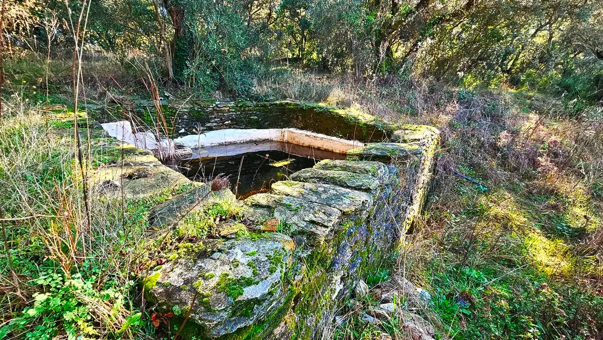 Vista exterior de Casa o xalet en venda en Los Marines amb Jardí privat, Terrassa i Traster