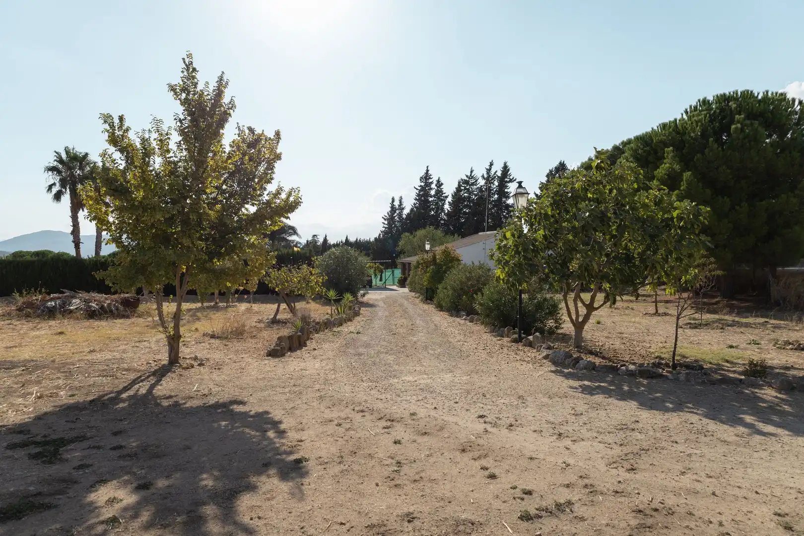Lands and plots for sale in Bobadilla - Bobadilla Estación - La Joya, imagen 30