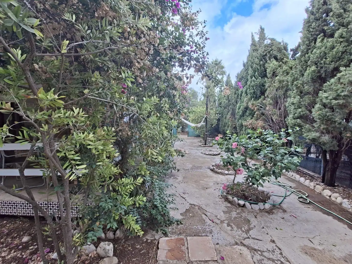 Jardín de Casa o chalet en venta en Alcanar con Jardín privado, Terraza y Trastero