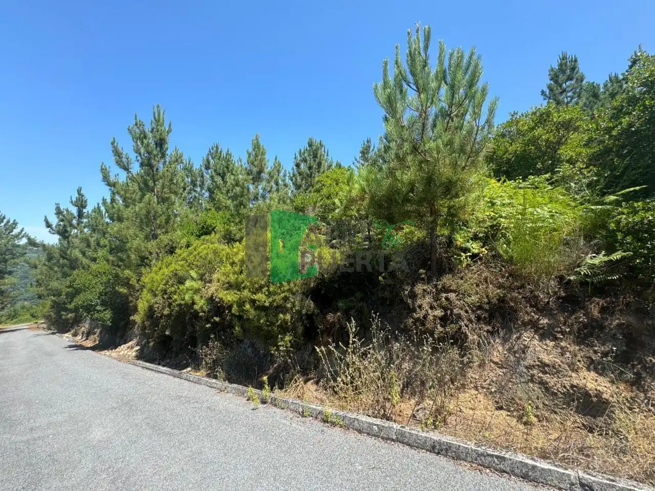 Terreni e lotti in vendita a Ventiun
