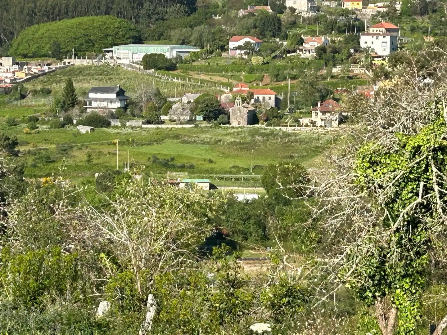 Terreno rustico in vendita a Marín, imagen 9