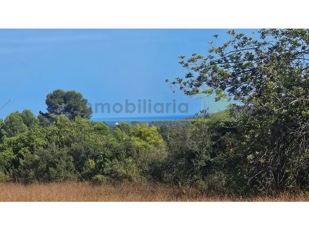 Rural land for sale in Poligono 37 Paraje 351 T Cerver, imagen 7