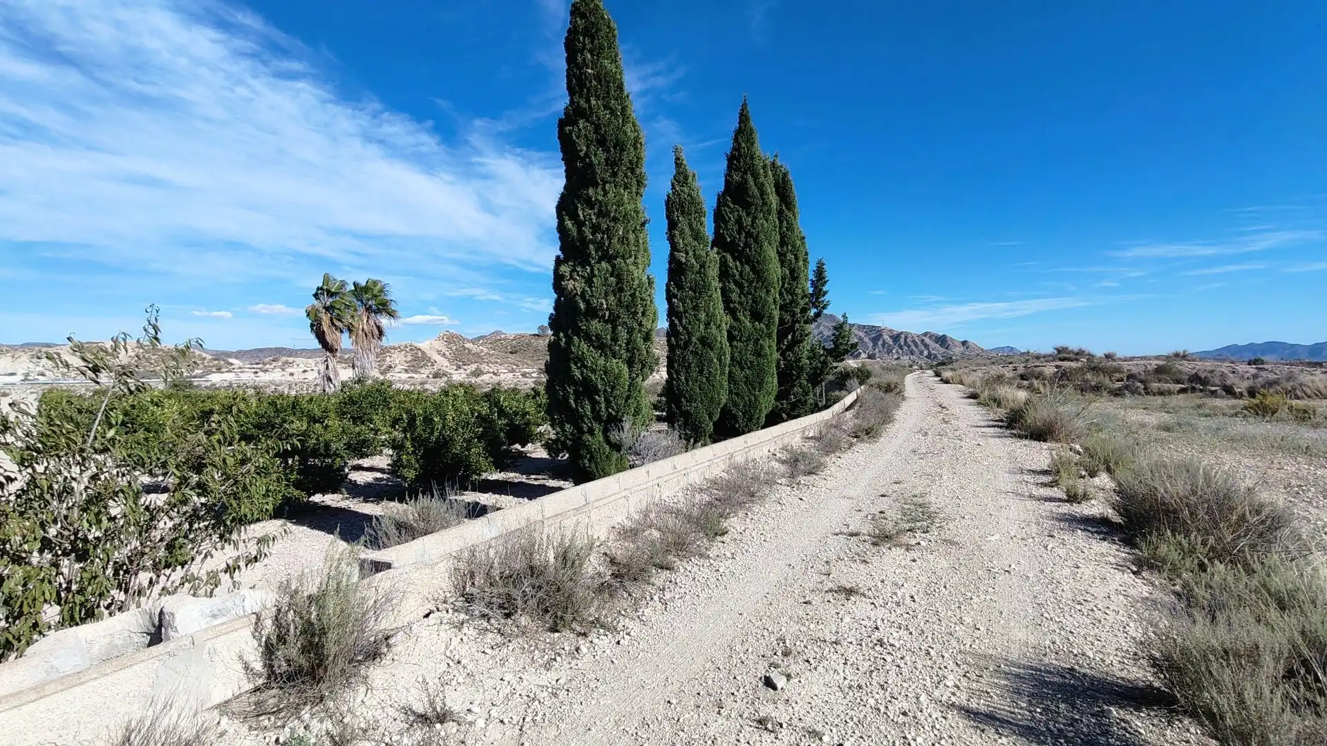 Lands and plots for sale in Abanilla, imagen 8