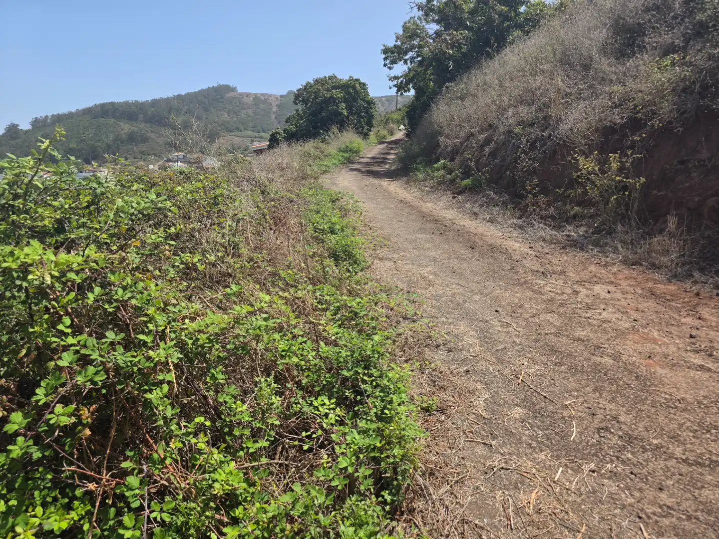 Rural land for sale in Camino las Peñuelas 11, imagen 47