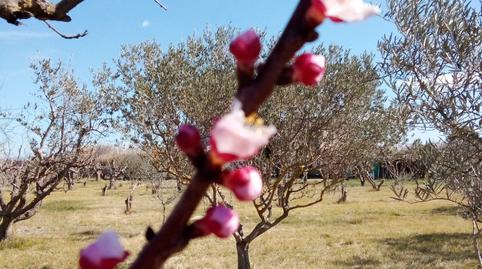 Foto 2 de Terreny en venda a Pastriz, Zaragoza