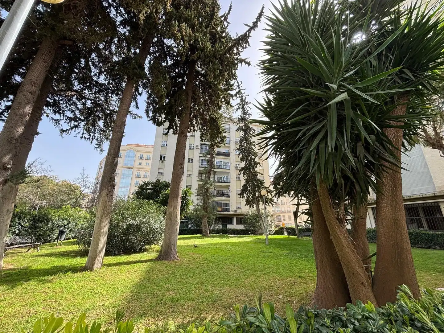 Flat with lift for sale in Avenida - Divina Pastora - Plaza de Toros, imagen 3