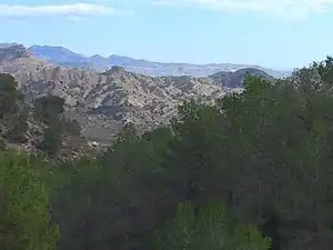 Terreny rústic en venda a Tibi, imagen 18