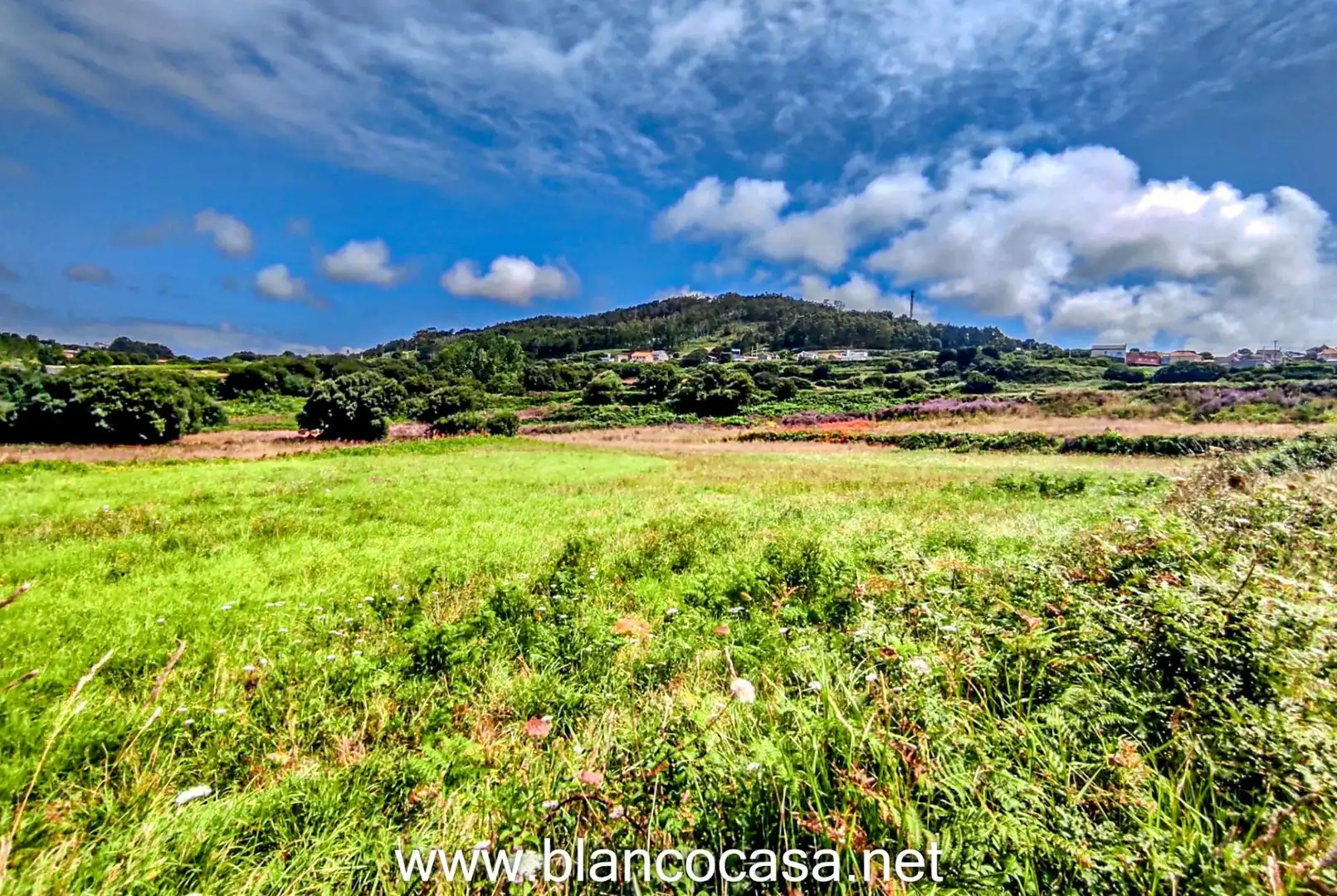 Land for sale in Carballo
