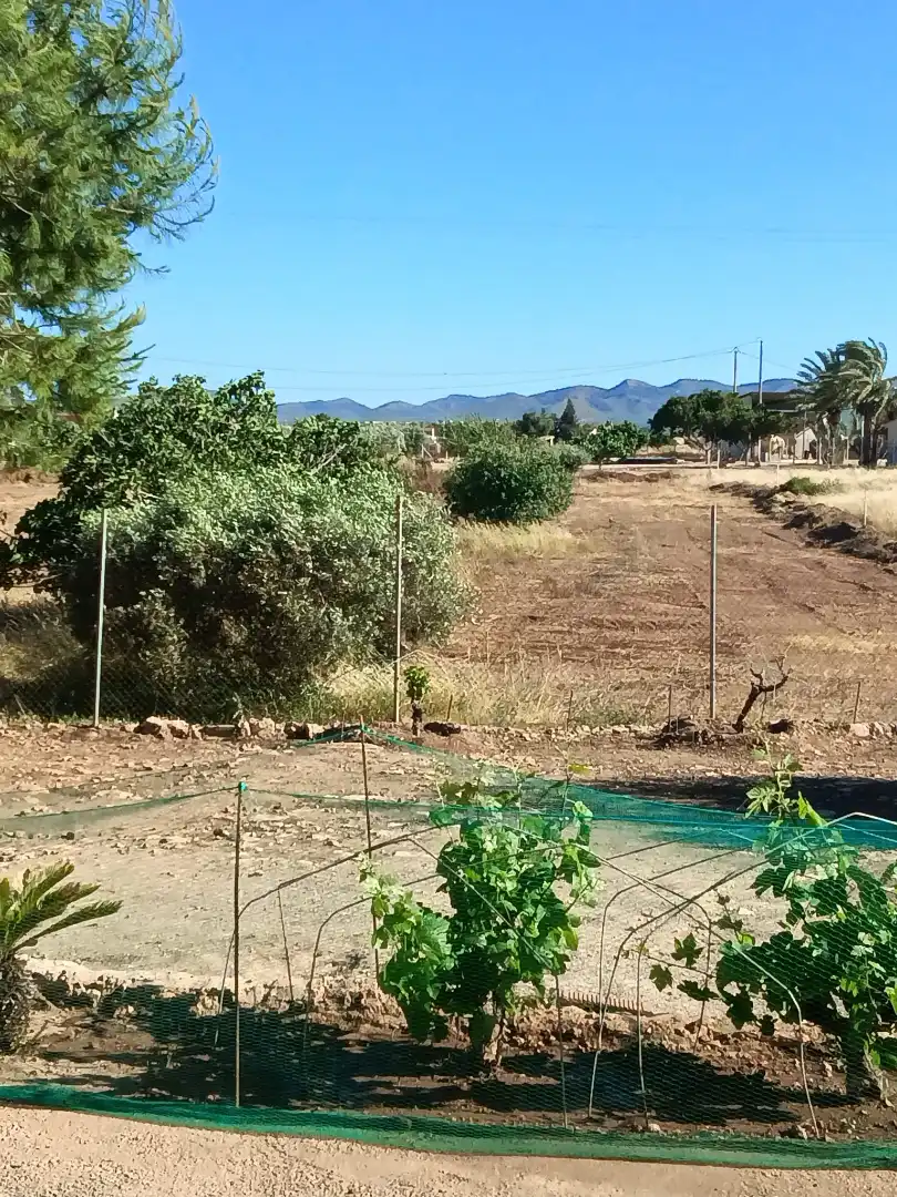 Casa rústica amb jardí en venda a N/A, imagen 31