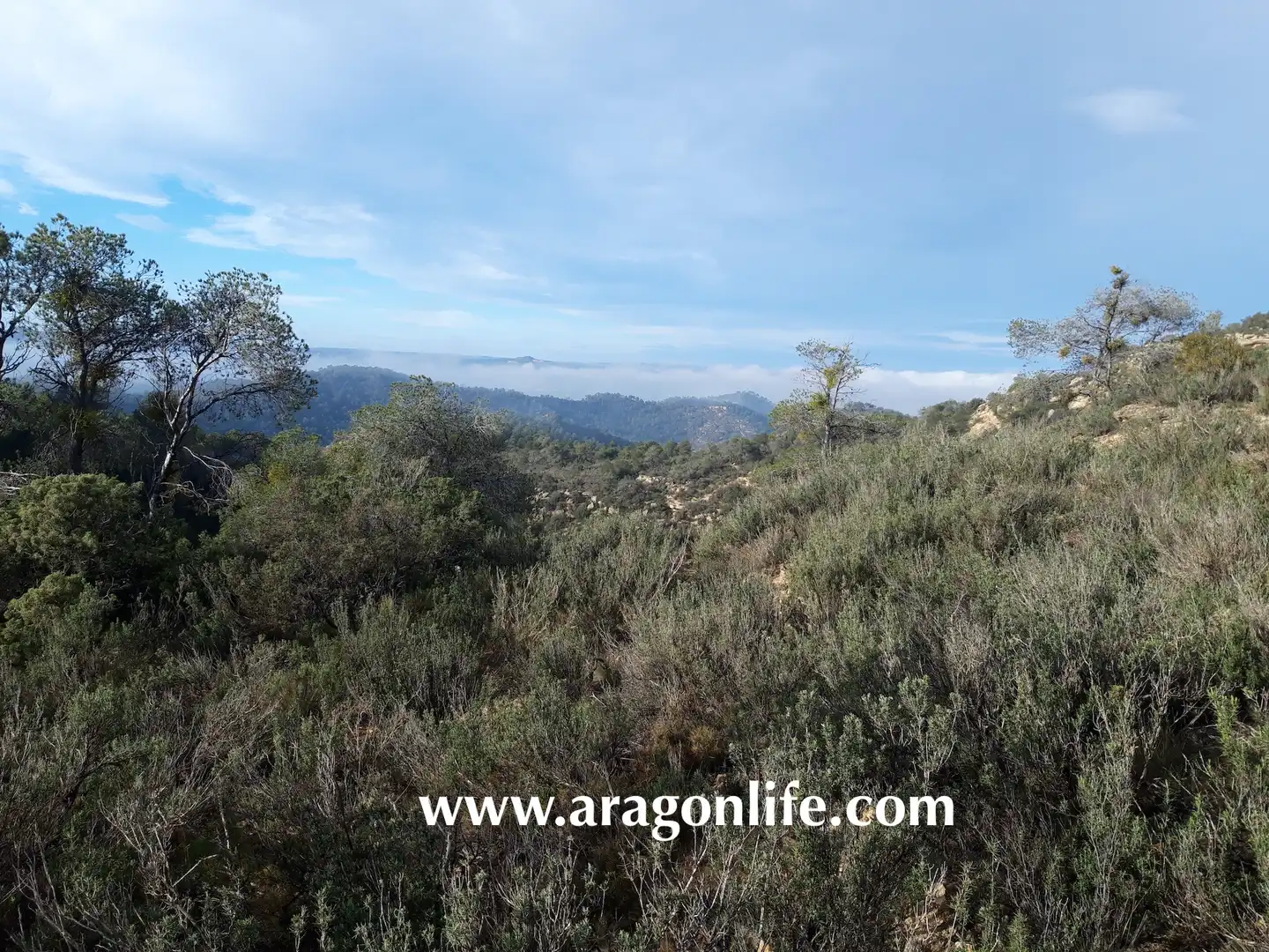 Finca rústica en venta en Batea