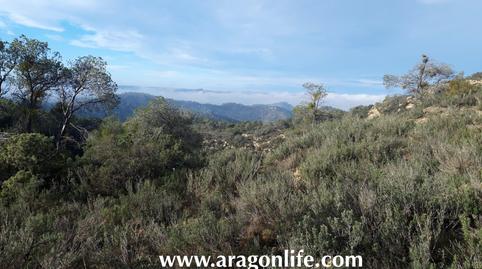 Photo 4 of Country house for sale in Travessera de la Caserna, Batea, Tarragona