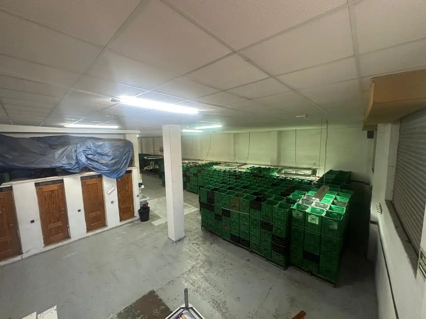 Local comercial en venda a Novelda, imagen 7