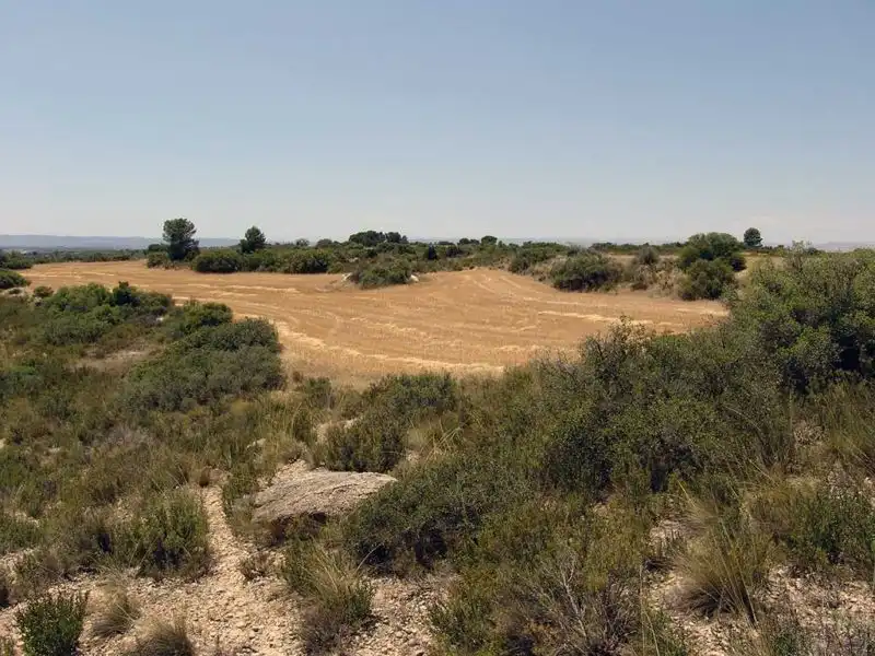 Finca rústica en venta en Alcañiz